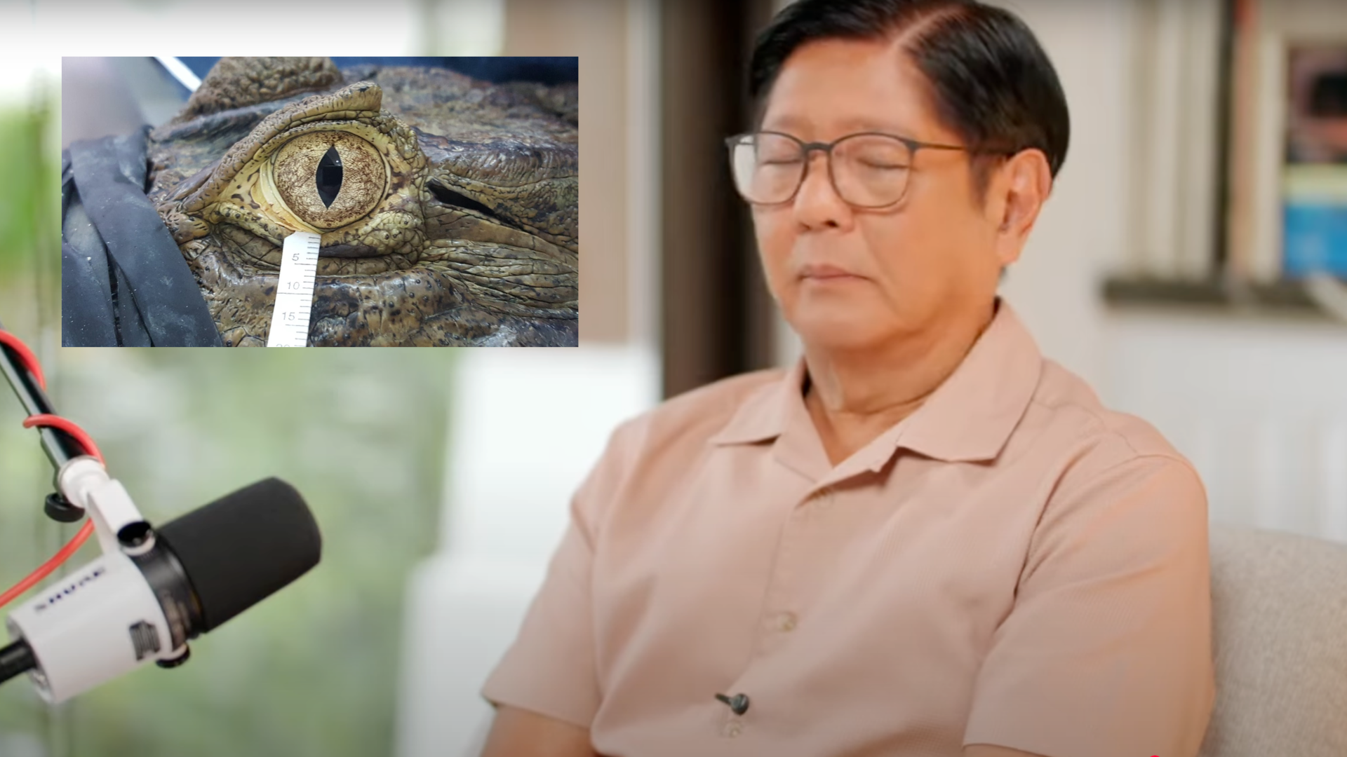 Crocodile Tears?